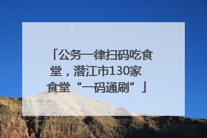 公务一律扫码吃食堂，潜江市130家食堂“一码通刷”